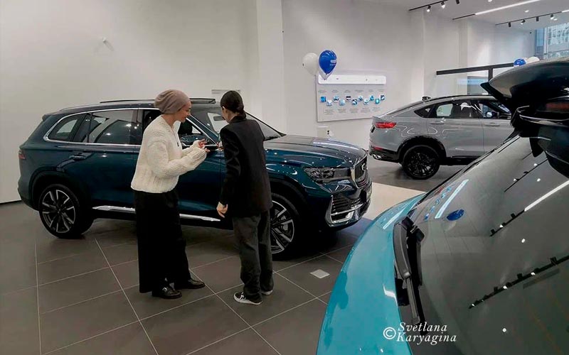 Geely Gallery 2