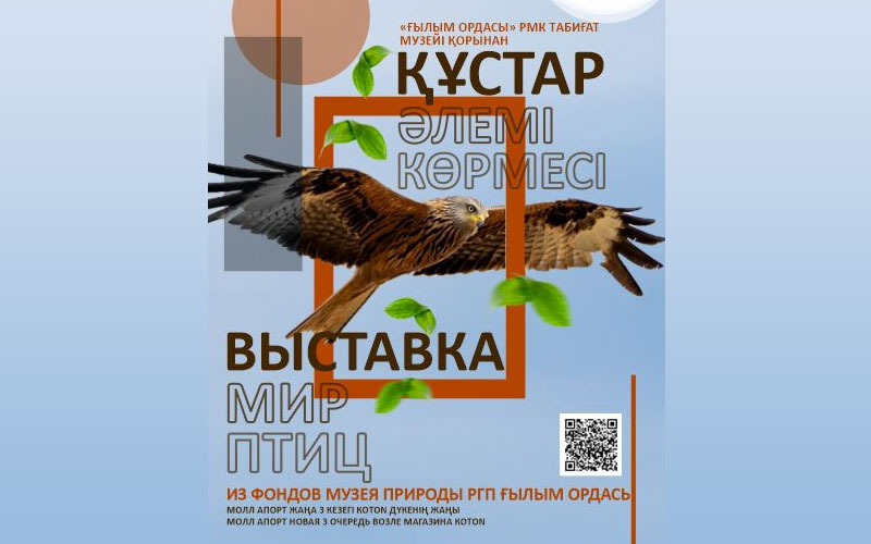 Крупнейший молл страны «Апорт» открывает уникальную выставку природы – «Мир птиц»